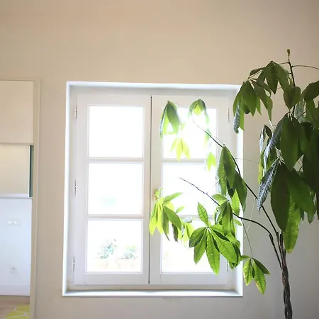 Apartment Ladronenea By Smiling *